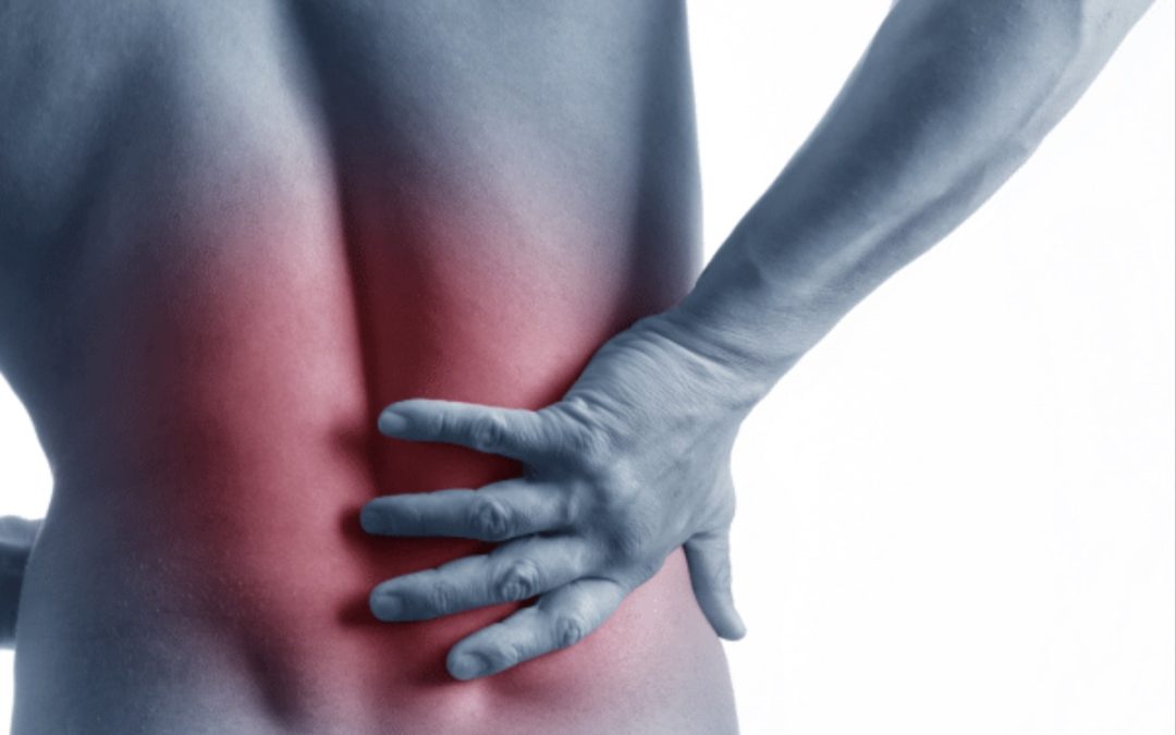 The Best Treatment for Low Back Pain in Ogden: Discover the ™Wheelhouse Protocol