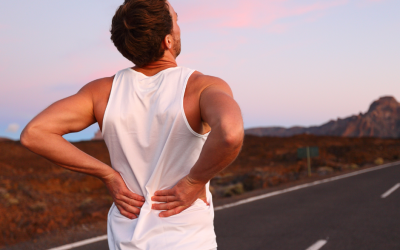 How to Solve Non-Specific Low Back Pain: The ™Wheelhouse Protocol